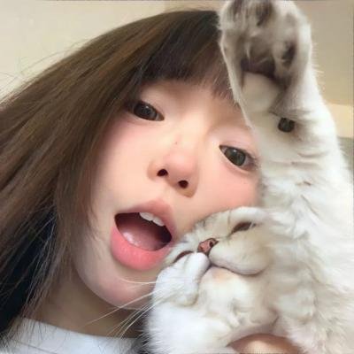 疯狂的兔子